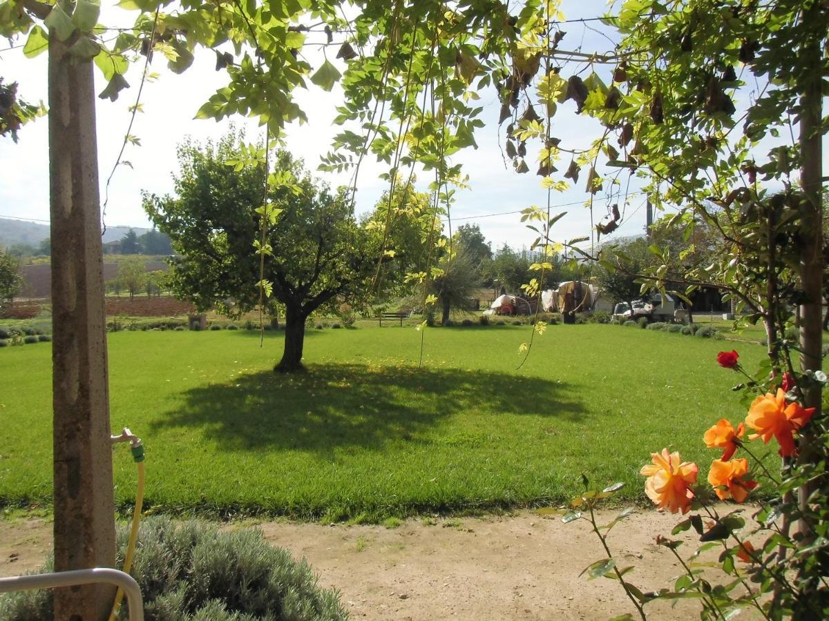 Farm stay Abbazia Sette Frati A Casa Di Sara Pietrafitta (Perugia)